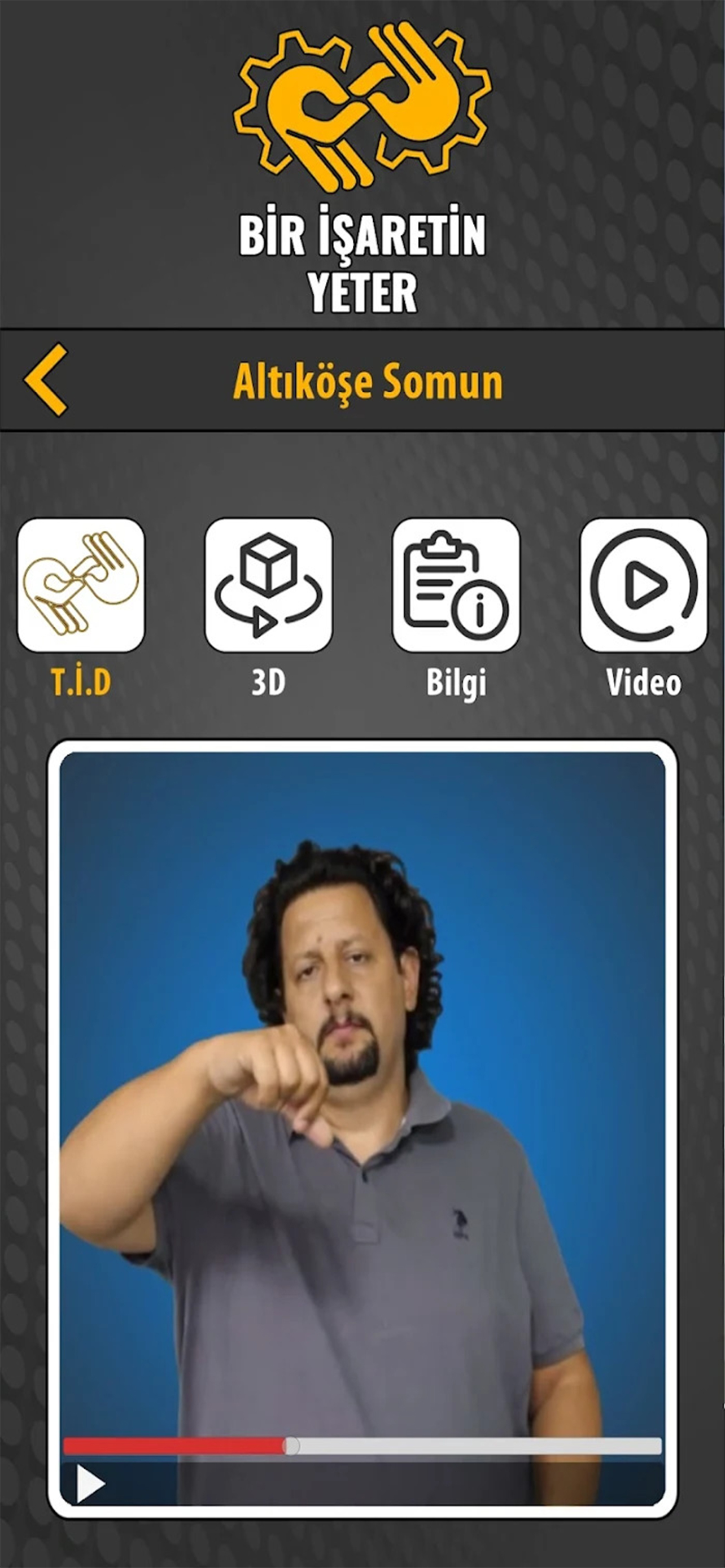 Accessible interaction flow for workplace support